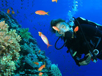 Escursione sul vulcano stromboli nelle isole eolie